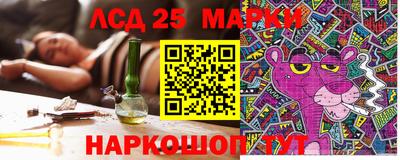 шишки Жуковский